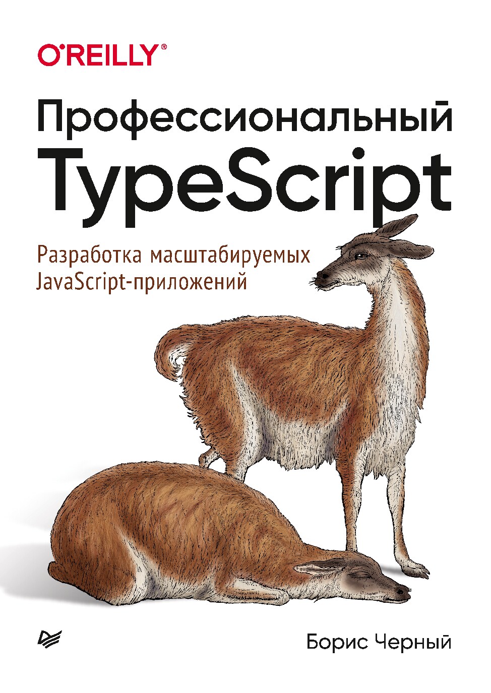 professionalnyi-typescript-razrabotka-masshtabiruemykh-javascript-prilozhenii