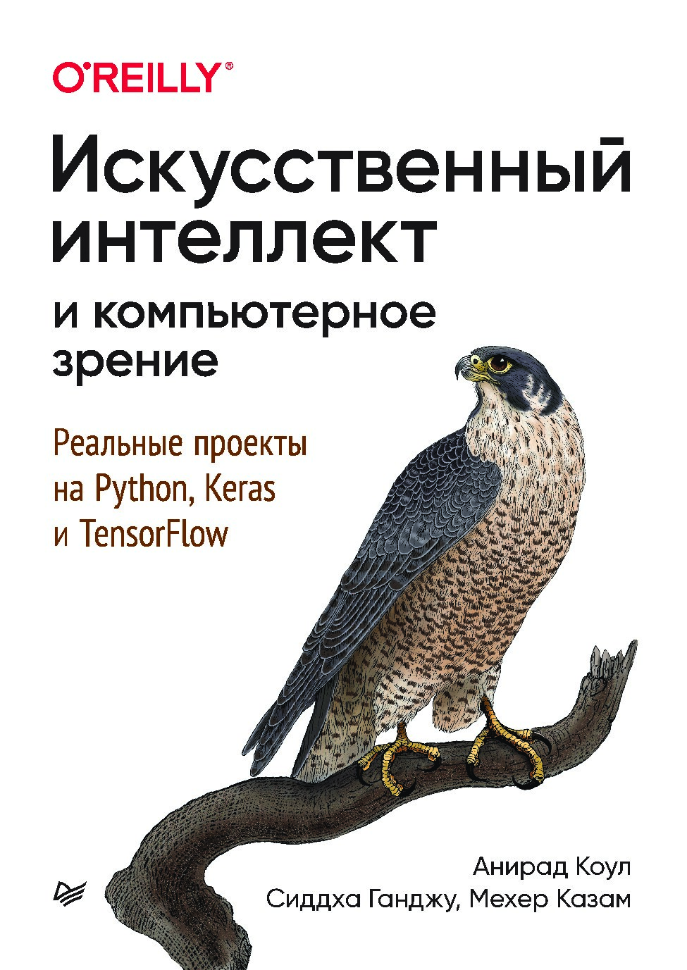 iskusstvennyi-intellekt-i-kompiuternoe-zrenie-realnye-proekty-na-python-keras-i-tensorflow